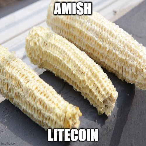 Amish Litecoin | AMISH; LITECOIN | image tagged in litecoin,amish | made w/ Imgflip meme maker