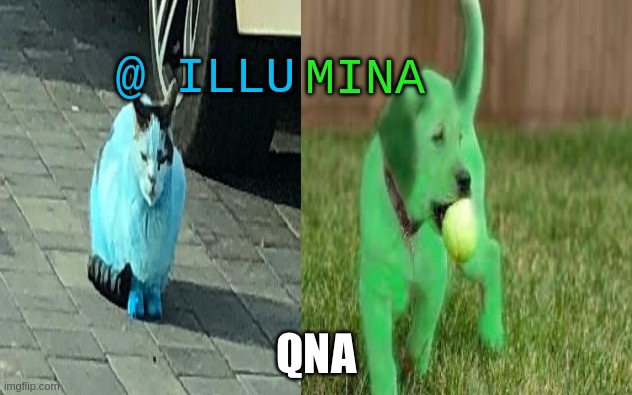 illumina new temp | QNA | image tagged in illumina new temp | made w/ Imgflip meme maker