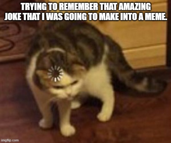 Loading cat | TRYING TO REMEMBER THAT AMAZING JOKE THAT I WAS GOING TO MAKE INTO A MEME. | image tagged in loading cat | made w/ Imgflip meme maker