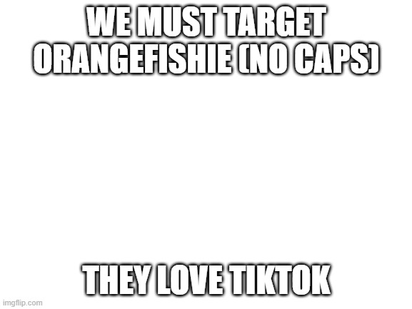 Blank White Template | WE MUST TARGET ORANGEFISHIE (NO CAPS); THEY LOVE TIKTOK | image tagged in blank white template | made w/ Imgflip meme maker