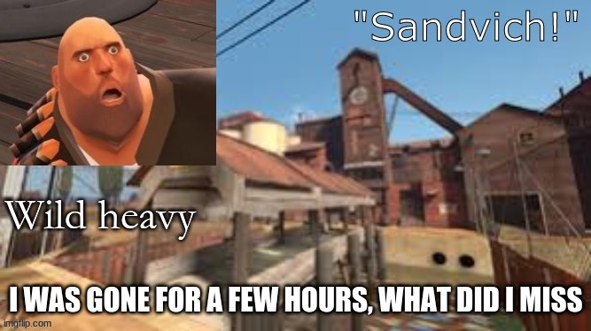 *offers sandvich* | I WAS GONE FOR A FEW HOURS, WHAT DID I MISS | made w/ Imgflip meme maker