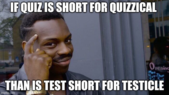 Woah | IF QUIZ IS SHORT FOR QUIZZICAL; THAN IS TEST SHORT FOR TESTICLE | image tagged in memes,roll safe think about it | made w/ Imgflip meme maker