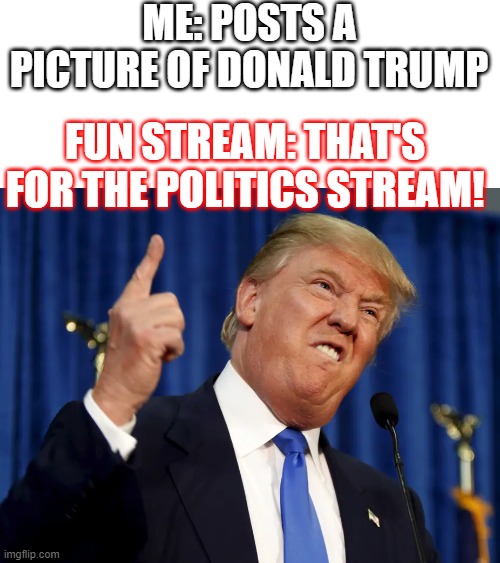 Fun stream be like: | ME: POSTS A PICTURE OF DONALD TRUMP; FUN STREAM: THAT'S FOR THE POLITICS STREAM! | image tagged in donald trump,not political,memes,funny,fun | made w/ Imgflip meme maker