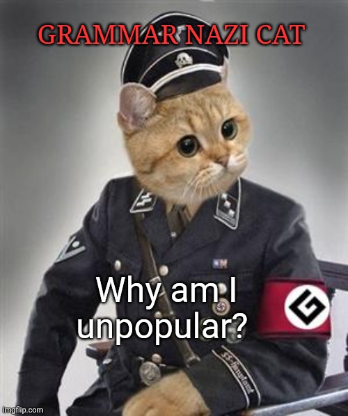 Grammar Nazi Cat | GRAMMAR NAZI CAT Why am I unpopular? | image tagged in grammar nazi cat | made w/ Imgflip meme maker