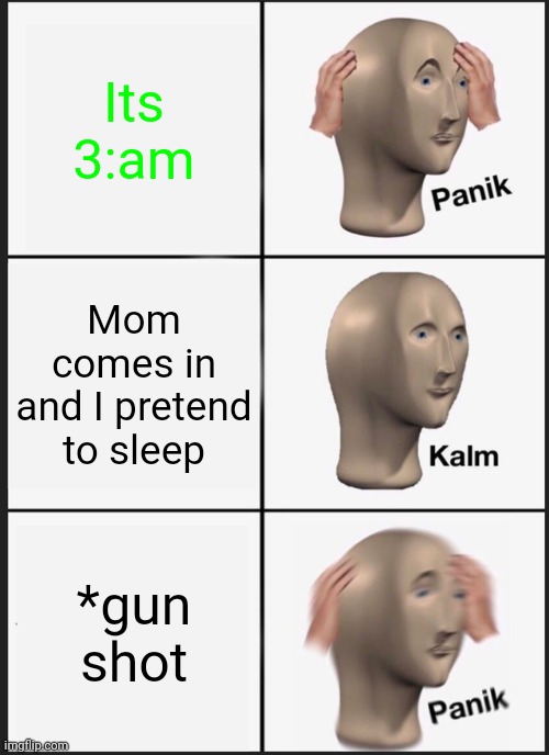 True | Its 3:am; Mom comes in and I pretend to sleep; *gun shot | image tagged in memes,panik kalm panik | made w/ Imgflip meme maker