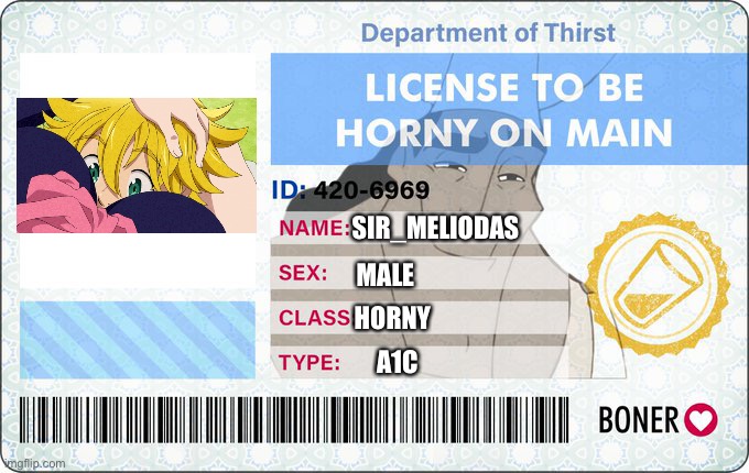 HA OFFICIAL CARD THAT LETS ME BE HORNY WITHOUT GOING TO HORNY JAIL MUAW HAW HAW HAW | SIR_MELIODAS; MALE; HORNY; A1C | image tagged in license to be horny on main,disney killed star wars,star wars kills disney | made w/ Imgflip meme maker