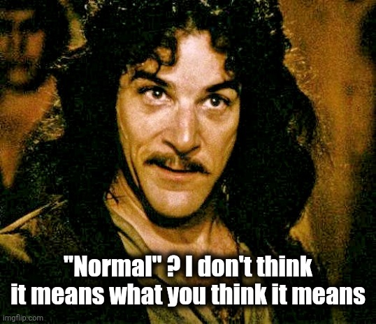 I don't think it means what you think it means | "Normal" ? I don't think it means what you think it means | image tagged in i don't think it means what you think it means | made w/ Imgflip meme maker