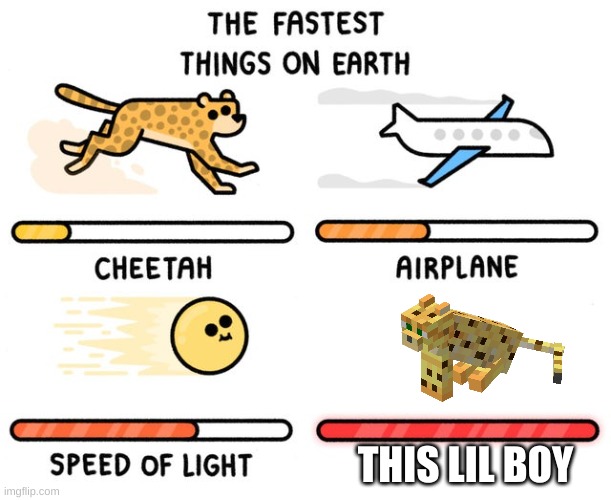fastest thing possible | THIS LIL BOY | image tagged in fastest thing possible,minecraft,fastest thing on earth,fast,quick,upvote | made w/ Imgflip meme maker