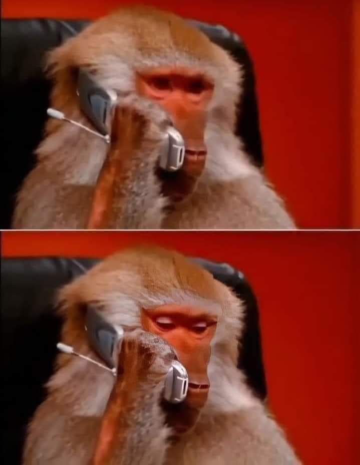 Monkey on the phone Blank Meme Template