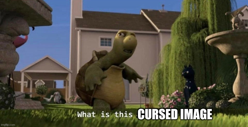 What is this place | CURSED IMAGE | image tagged in what is this place | made w/ Imgflip meme maker