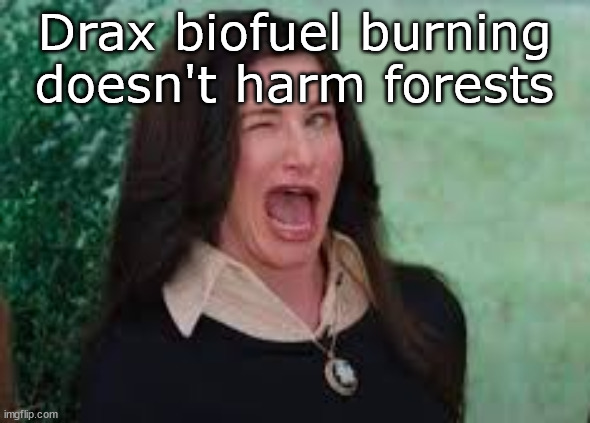 drax biofuels | Drax biofuel burning doesn't harm forests | image tagged in agatha harkness wink | made w/ Imgflip meme maker