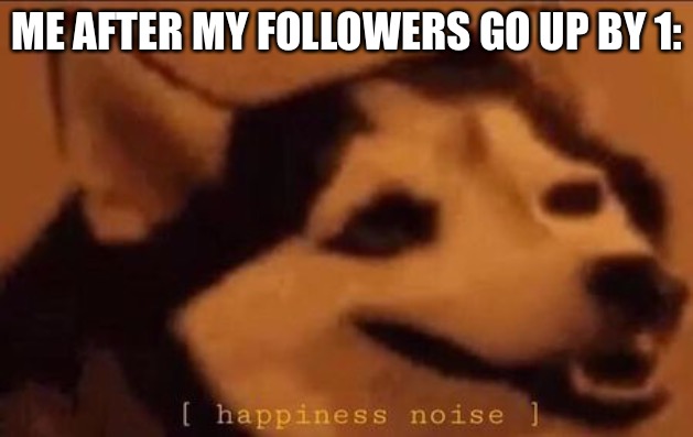 Happiness Noise | ME AFTER MY FOLLOWERS GO UP BY 1: | image tagged in happiness noise | made w/ Imgflip meme maker