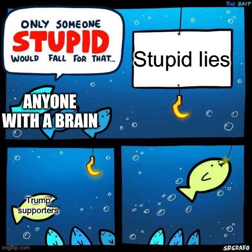 Only someone stupid would fall for that |  Stupid lies; ANYONE WITH A BRAIN; Trump supporters | image tagged in only someone stupid would fall for that | made w/ Imgflip meme maker