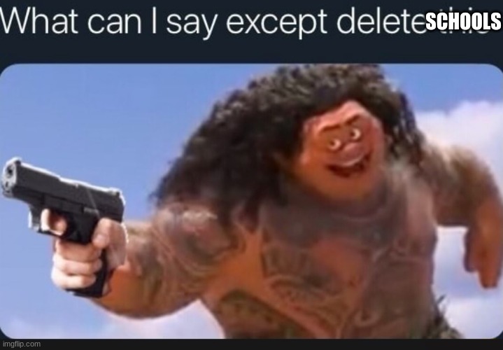 What can I say except delete this | SCHOOLS | image tagged in what can i say except delete this | made w/ Imgflip meme maker