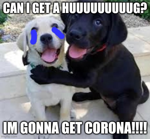 Corona be like | CAN I GET A HUUUUUUUUUG? IM GONNA GET CORONA!!!! | image tagged in coronavirus | made w/ Imgflip meme maker