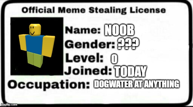 Meme Stealing License | NOOB; ??? TODAY; DOGWATER AT ANYTHING | image tagged in meme stealing license | made w/ Imgflip meme maker