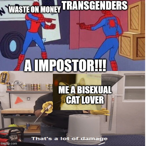 guess whats cat about this | TRANSGENDERS; WASTE ON MONEY; A IMPOSTOR!!! ME A BISEXUAL CAT LOVER | image tagged in trans vs watse of money,cat is in this | made w/ Imgflip meme maker