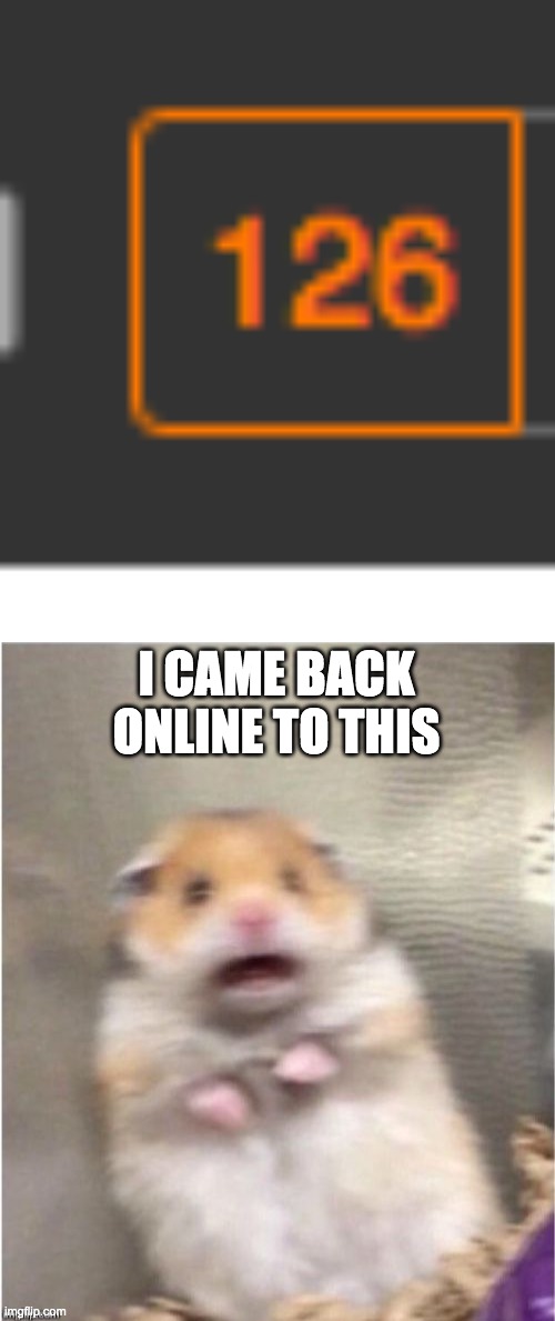 i'm serious, i did | I CAME BACK ONLINE TO THIS | image tagged in scared hamster | made w/ Imgflip meme maker
