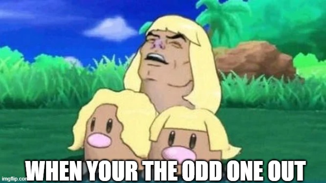 the odd one out | WHEN YOUR THE ODD ONE OUT | image tagged in dumb | made w/ Imgflip meme maker