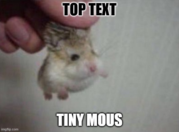 He smol | TOP TEXT; TINY MOUS | image tagged in tiny mous | made w/ Imgflip meme maker