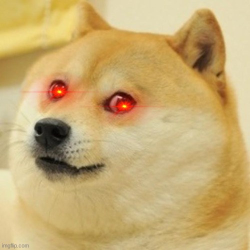 doge mad | image tagged in memes,doge | made w/ Imgflip meme maker