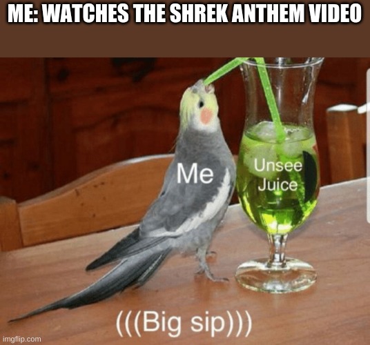 Unsee juice | ME: WATCHES THE SHREK ANTHEM VIDEO | image tagged in unsee juice | made w/ Imgflip meme maker