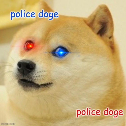 police doge | police doge; police doge | image tagged in memes,doge,police,police doge | made w/ Imgflip meme maker
