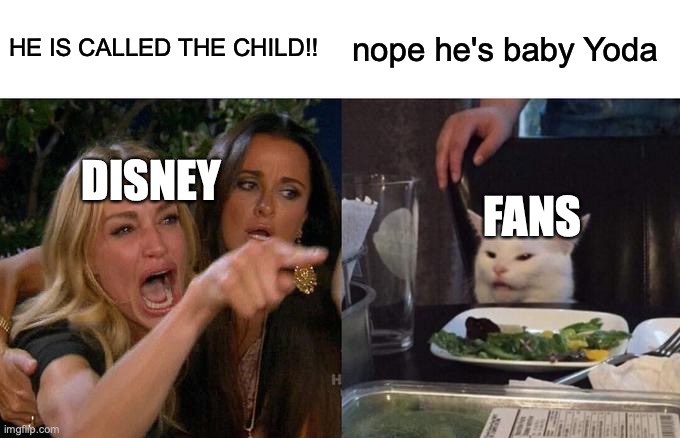 well I guess now they're begging us to call him "grogu." still baby Yoda to me | HE IS CALLED THE CHILD!! nope he's baby Yoda; DISNEY; FANS | image tagged in memes,woman yelling at cat | made w/ Imgflip meme maker