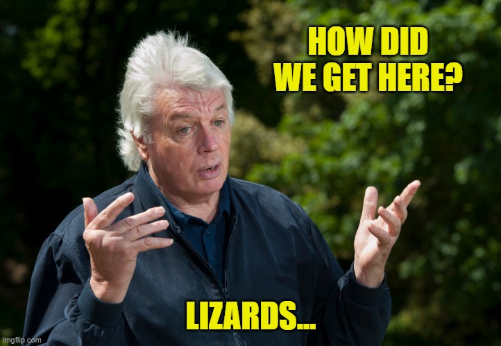 HOW DID WE GET HERE? LIZARDS... | made w/ Imgflip meme maker