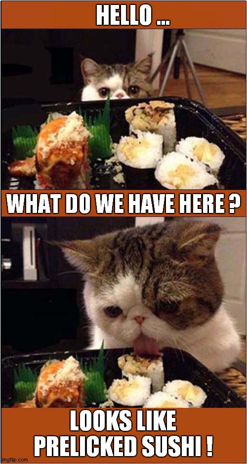Tasty Sushi ? | HELLO ... WHAT DO WE HAVE HERE ? LOOKS LIKE PRELICKED SUSHI ! | image tagged in cats,sushi | made w/ Imgflip meme maker