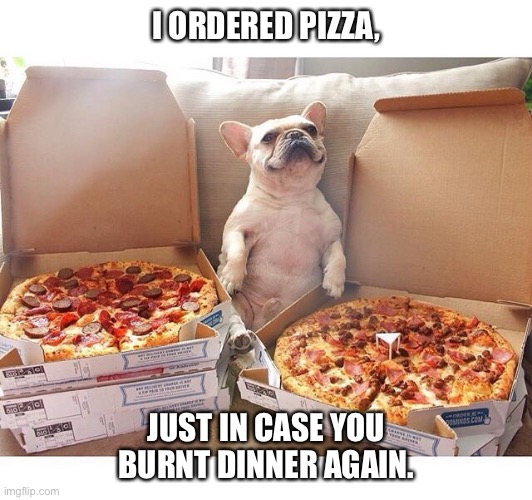 Pizza Dog | I ORDERED PIZZA, JUST IN CASE YOU BURNT DINNER AGAIN. | image tagged in pizza dog | made w/ Imgflip meme maker