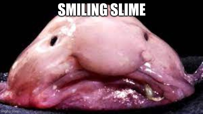 blobfish | SMILING SLIME | image tagged in blobfish | made w/ Imgflip meme maker