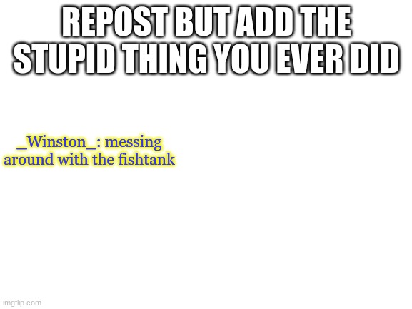 Blank White Template | REPOST BUT ADD THE STUPID THING YOU EVER DID; _Winston_: messing around with the fishtank | image tagged in blank white template | made w/ Imgflip meme maker