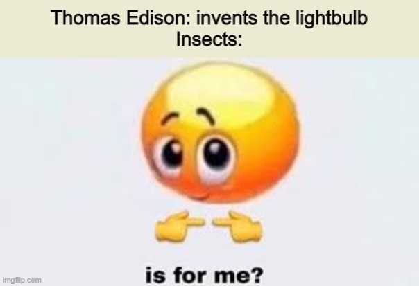Meme. |  Thomas Edison: invents the lightbulb
Insects: | image tagged in memes,funny memes,so true memes,insects,light,barney will eat all of your delectable biscuits | made w/ Imgflip meme maker