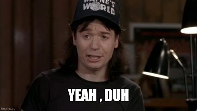 Wayne's World Discovery | YEAH , DUH | image tagged in wayne's world discovery | made w/ Imgflip meme maker