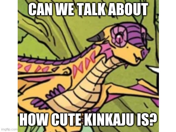 kink here tho | CAN WE TALK ABOUT; HOW CUTE KINKAJU IS? | image tagged in wings of fire | made w/ Imgflip meme maker