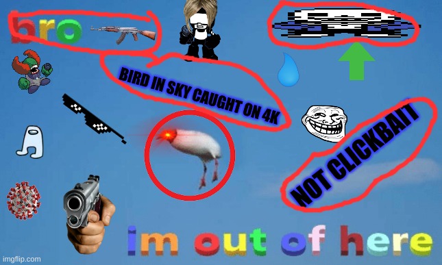 NOT CLICKBAIT GUYS | BIRD IN SKY CAUGHT ON 4K; NOT CLICKBAIT | image tagged in bro im out of here | made w/ Imgflip meme maker