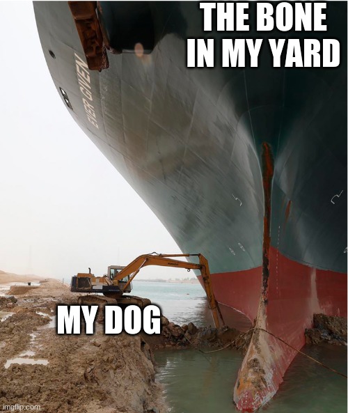 dog meme | THE BONE IN MY YARD; MY DOG | image tagged in suez-canal | made w/ Imgflip meme maker
