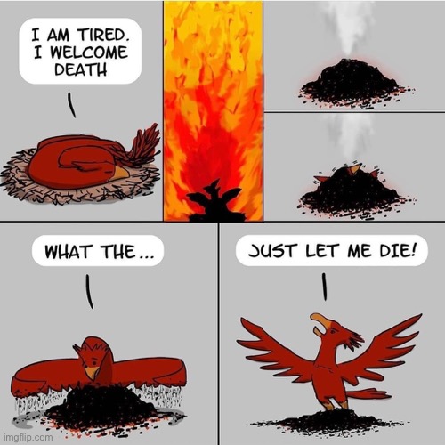 Suicidal Phoenix | image tagged in suicidal phoenix,suicide,phoenix,repost,comics/cartoons,comics | made w/ Imgflip meme maker