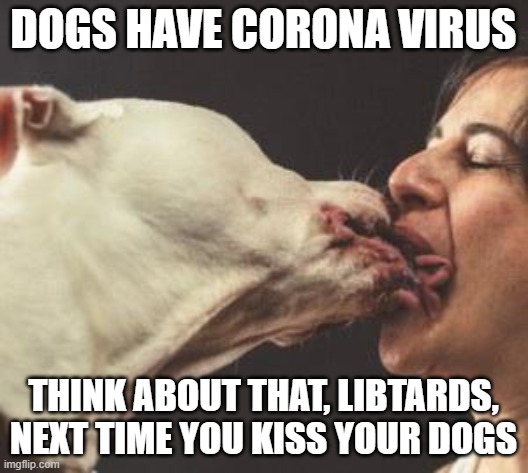 Kissing Dog | DOGS HAVE CORONA VIRUS; THINK ABOUT THAT, LIBTARDS, NEXT TIME YOU KISS YOUR DOGS | image tagged in kissing dog | made w/ Imgflip meme maker