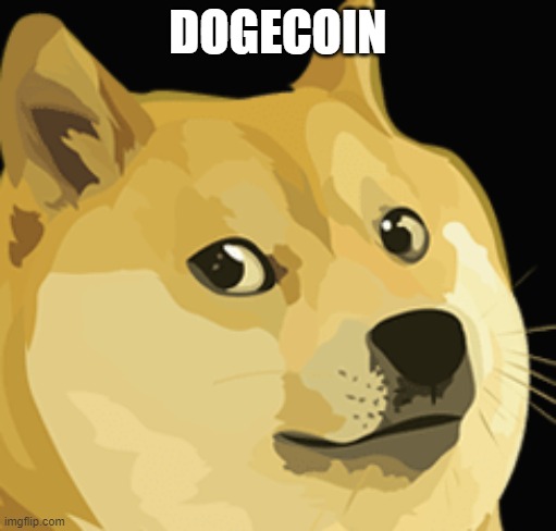 DOGECOIN | image tagged in excuse me what the fuck,excuse me what the heck,dogecoin | made w/ Imgflip meme maker