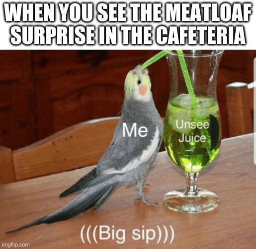 Eee | WHEN YOU SEE THE MEATLOAF SURPRISE IN THE CAFETERIA | image tagged in unsee juice | made w/ Imgflip meme maker