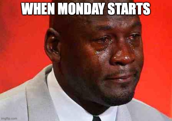 crying michael jordan | WHEN MONDAY STARTS | image tagged in crying michael jordan | made w/ Imgflip meme maker