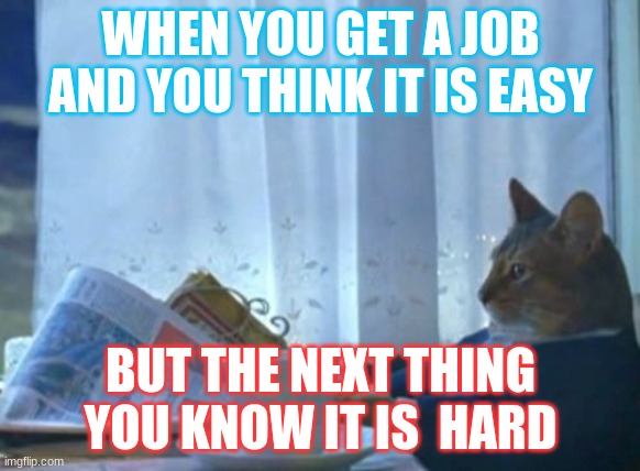 I Should Buy A Boat Cat Meme | WHEN YOU GET A JOB AND YOU THINK IT IS EASY; BUT THE NEXT THING YOU KNOW IT IS  HARD | image tagged in memes,i should buy a boat cat | made w/ Imgflip meme maker