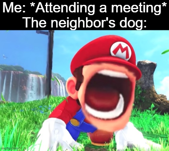 Mario screaming | Me: *Attending a meeting*
The neighbor's dog: | image tagged in mario screaming,memes,dog,meeting | made w/ Imgflip meme maker