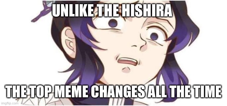Demon Slayer Kocho | UNLIKE THE HISHIRA; THE TOP MEME CHANGES ALL THE TIME | image tagged in demon slayer kocho | made w/ Imgflip meme maker