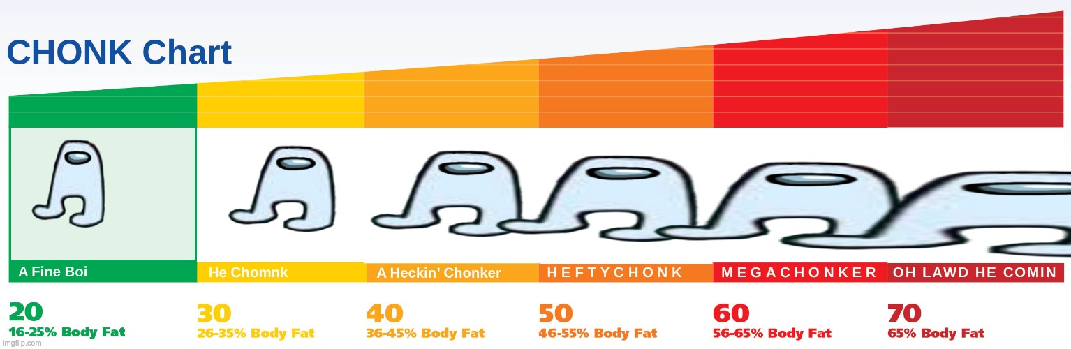 Chonk chart | image tagged in chonk chart | made w/ Imgflip meme maker