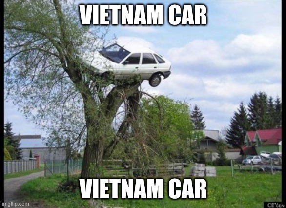 vietnam parking | VIETNAM CAR; VIETNAM CAR | image tagged in memes,secure parking,vietnam,they're in the trees | made w/ Imgflip meme maker