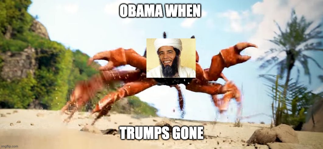 Obama when trump is gone | OBAMA WHEN; TRUMPS GONE | image tagged in trump | made w/ Imgflip meme maker