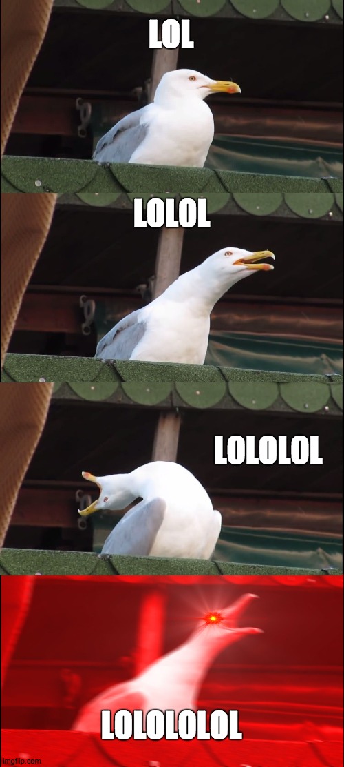 Inhaling Seagull | LOL; LOLOL; LOLOLOL; LOLOLOLOL | image tagged in memes,inhaling seagull | made w/ Imgflip meme maker